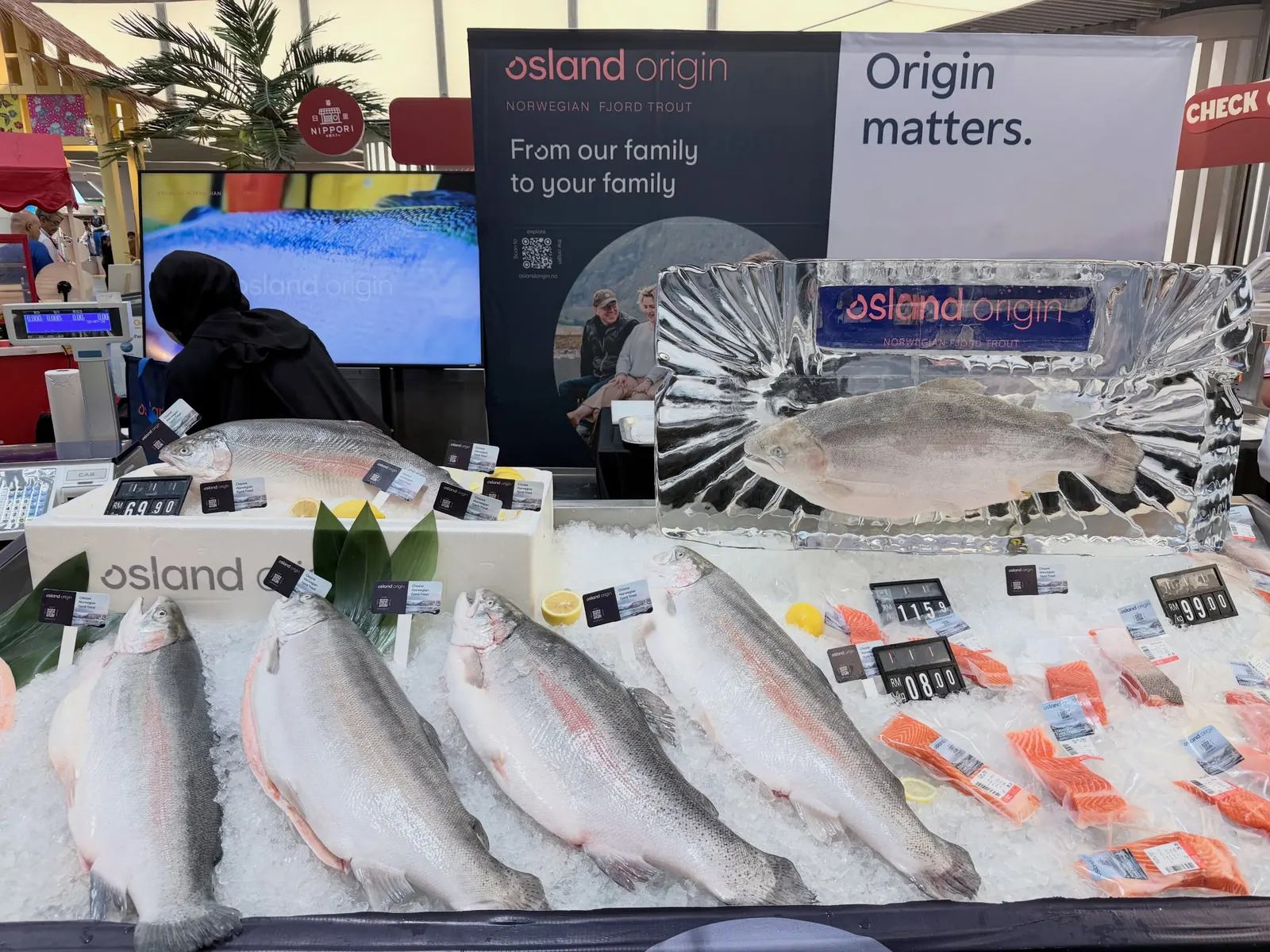 Osland Origin fjord trout on ice