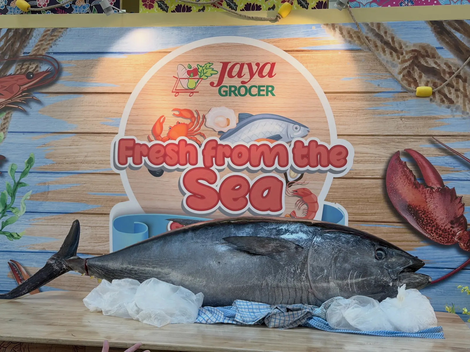 Whole tuna on ice at the Fresh From The Sea fiesta, 1 Utama